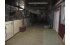 Property photo 9 - 80 Acres Offered in 4 Tracts - Horse Farm